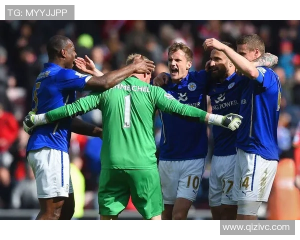 西布罗姆主场迎战莱切城双方争夺英超宝贵积分之战